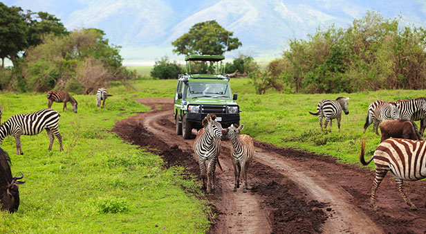 Cruises From Africa, India & Middle East